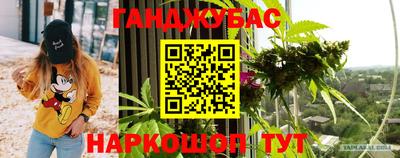 стаф Будённовск