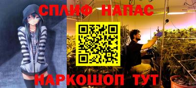 гидропоника Бугуруслан
