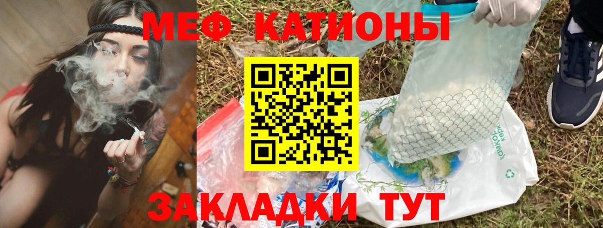 МЕФ Мытищи