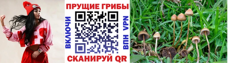 Псилоцибиновые грибы MAGIC MUSHROOMS  Мытищи 