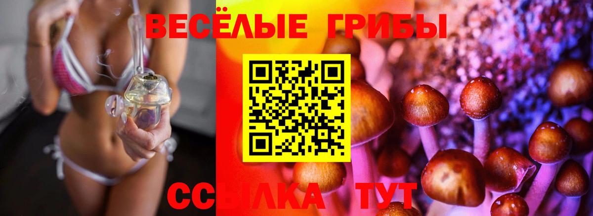 Псилоцибиновые грибы Cubensis  Галлюциногенные грибы Magic Shrooms  Вход с VPN  Мытищи 