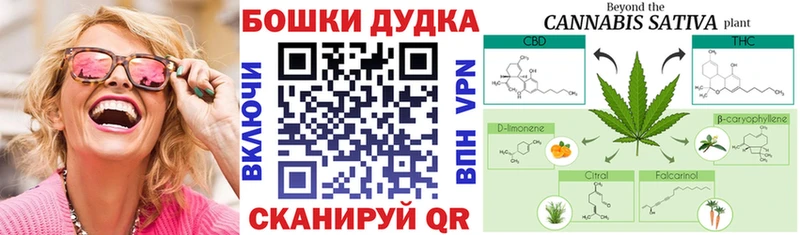 где можно купить   сайты даркнета наркотические препараты  Конопля сатива  Мытищи 